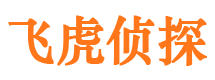 霞浦侦探